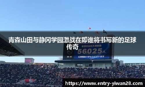 亿万28娱乐